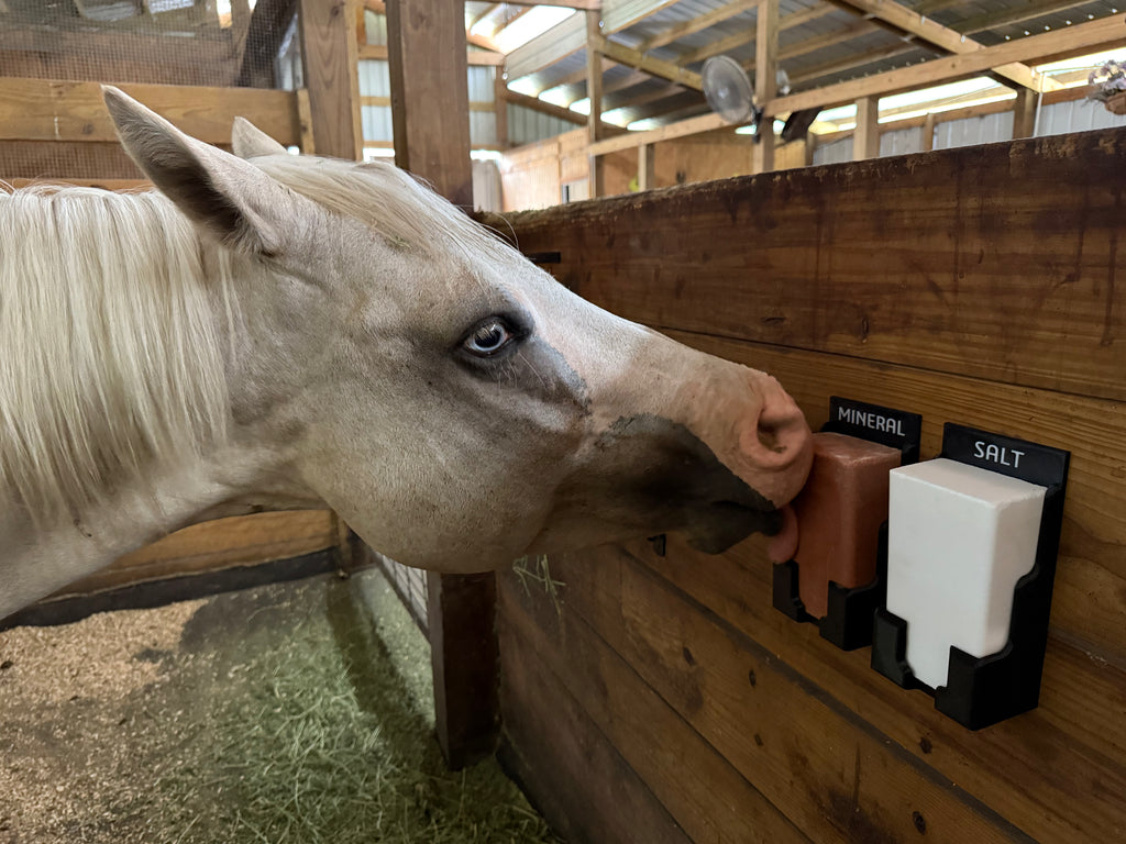 4lb Horse Salt & Mineral Block Holder – Personalized Name Option