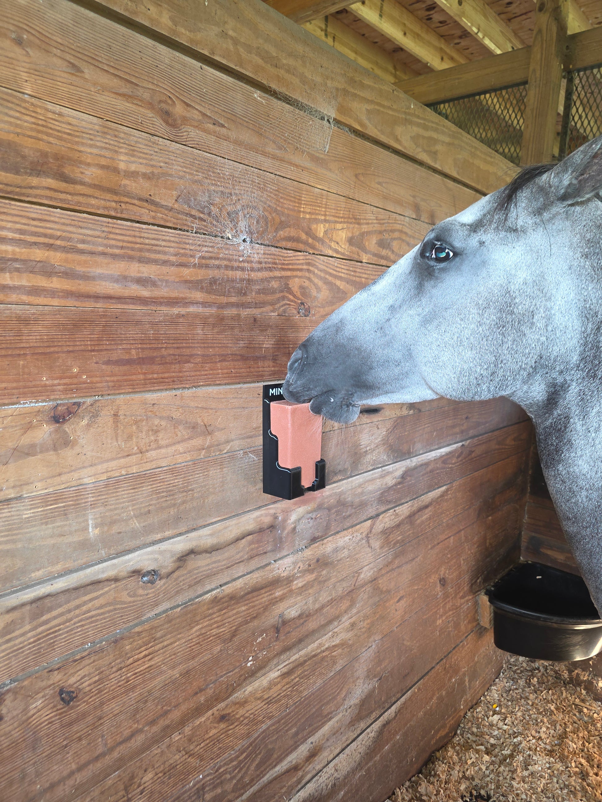 4lb Horse Salt & Mineral Block Holder – Personalized Name Option